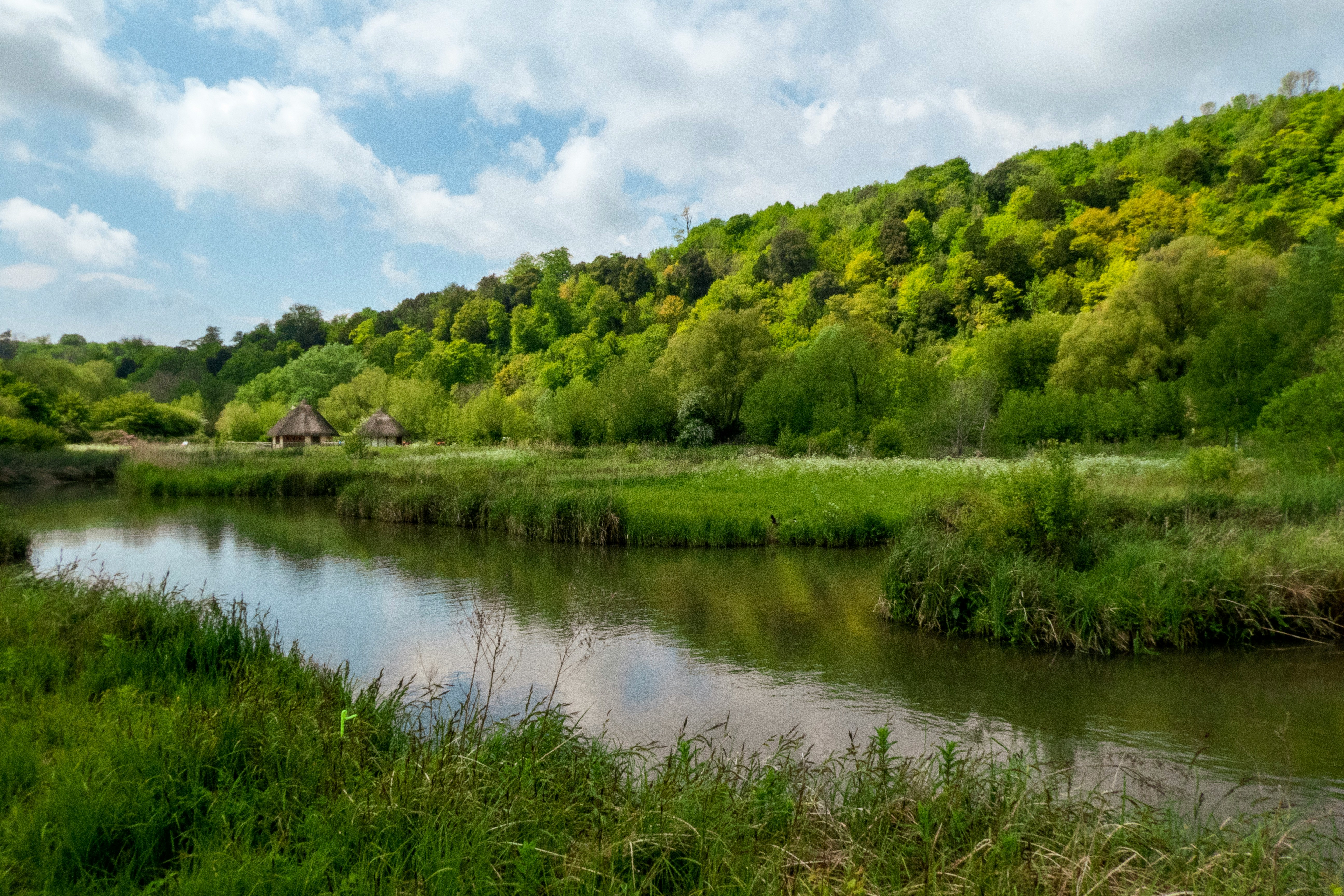 Drained wetlands in uk are now restoring.