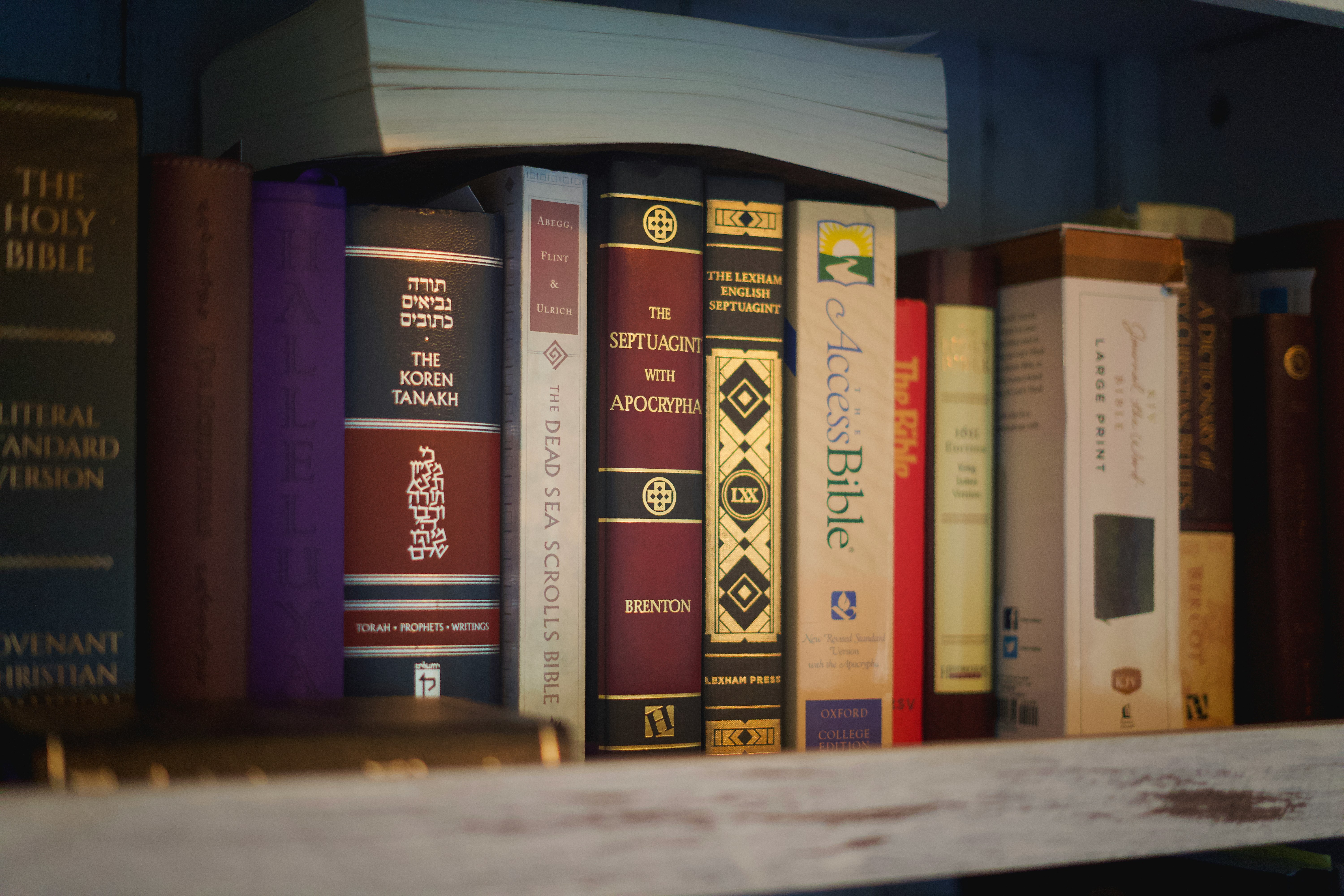 Comparing the Dead Sea Scrolls and Nag Hammadi invite new curiosity about ancient religious life.
