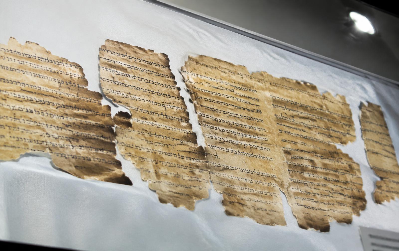 Ancient manuscript fragments